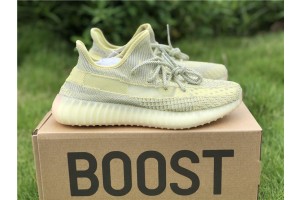 2019 Adidas Yeezy Boost 350 V2 "Antlia" FV3250